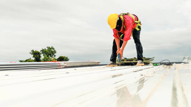 Best Sheet Metal Roofing  in Mount Ora, OH